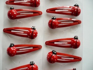 11/026-1,10 Biedronka na pyku